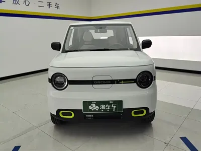 Galaxy Panda 2026, 100 км, за 5839.72 USD