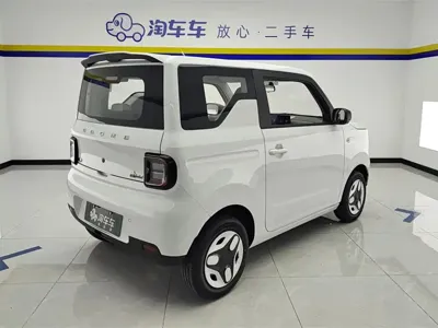 Galaxy Panda 2026, 100 км, за 5839.72 USD