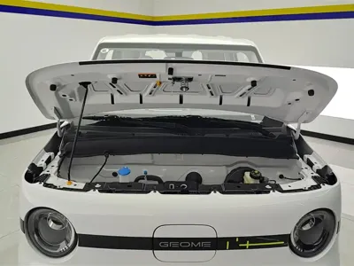 Galaxy Panda 2026, 100 км, за 5811.5 USD - фото 10