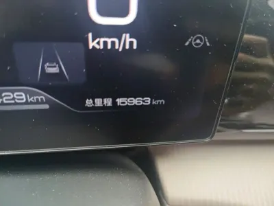 BYD Pro New Energy 2024, 16000 км, за 11725.22 USD