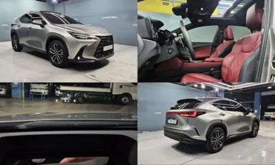 Lexus NX · 2025 год