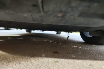 Ford Taurus 2015, 114600 км, за 11715 USD - фото 24