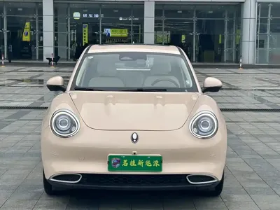 ORA Ora Good Cat 2022, 75000 км, за 8381.36 USD