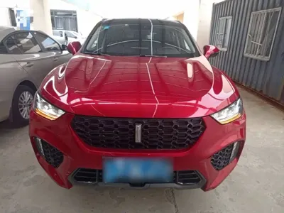 WEY Wey VV5 2019, 35000 км, за 6300.63 USD