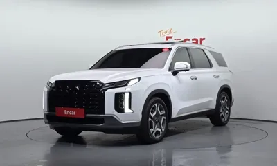Hyundai Palisade · 2023 год