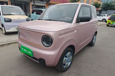 Geely Galaxy Panda · 2024 год