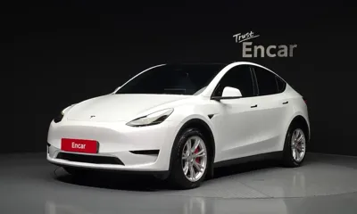 Tesla Model Y · 2024 год