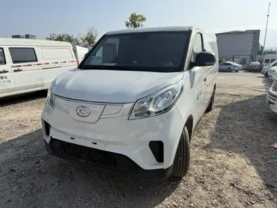 大通 EV30 · 2021 год