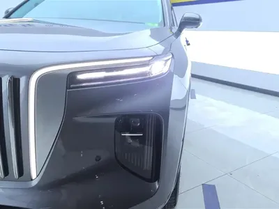 Hongqi Hongqi E-HS9 2023, 53500 км, за 22713.27 USD