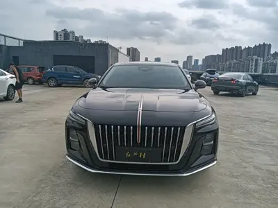 Hongqi Hongqi H5 2023, 20000 км, за 13229.2 USD