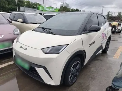 BYD Seagull · 2023 год