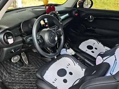 MINI MINI 2020, 21200 км, за 17313.73 USD