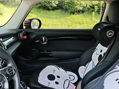 MINI MINI 2020, 21200 км, за 17313.73 USD
