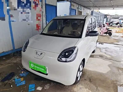 Wuling MINIEV · 2025 год