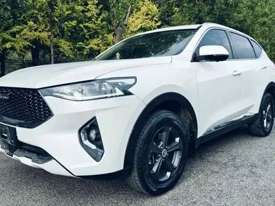 Haval F7 · 2019 год