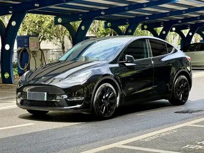 Tesla Model Y · 2023 год