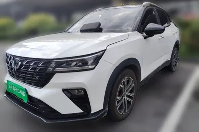 Wuling Alvez · 2022 год