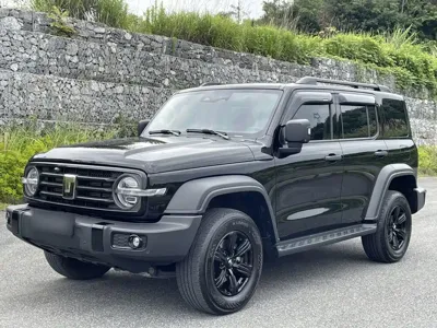 Tank Tank 300 · 2024 год
