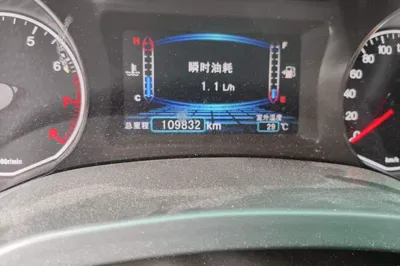 BYD Surui 2018, 109800 км, за 4295 USD - фото 9