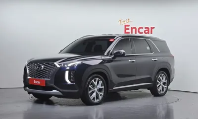 Hyundai Palisade · 2019 год