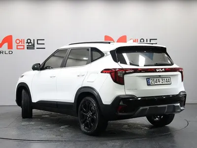 Kia Seltos 2025, 21365 км, за 19190.75 USD