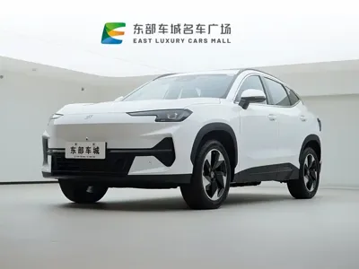 Shanhai Shanhai L6 · 2024 год