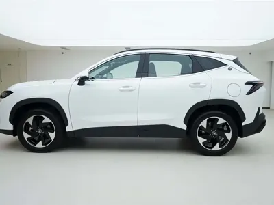 Shanhai Shanhai L6 2024, 24000 км, за 11068.14 USD