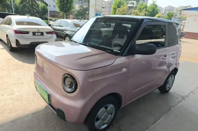 Geely Galaxy Panda · 2024 год