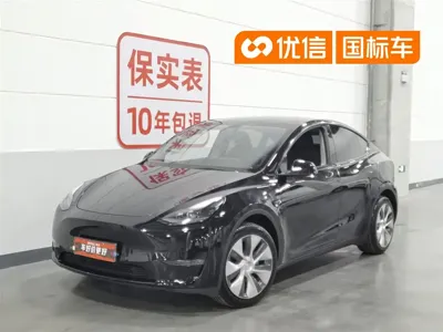 Tesla Model Y · 2023 год