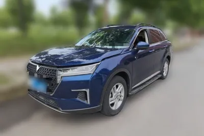Venucia Star · 2020 год