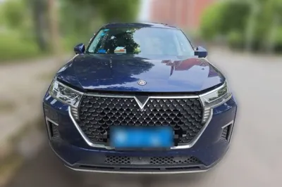 Venucia Star 2020, 73800 км, за 7825 USD