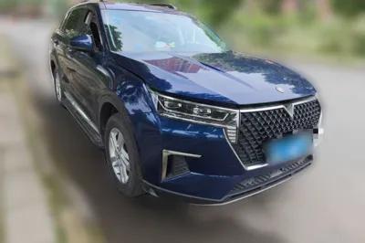 Venucia Star 2020, 73800 км, за 7825 USD