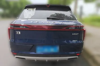 Venucia Star 2020, 73800 км, за 7825 USD