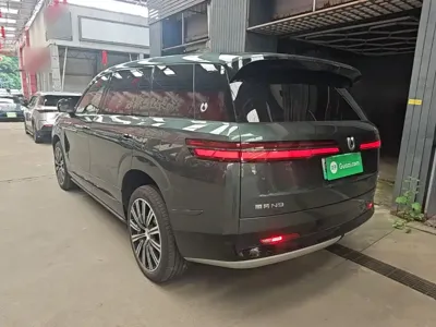Denza 腾势N9 2025, 6700 км, за 48038.27 USD
