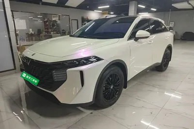 Venucia V · 2023 год