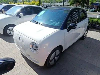 ORA Ora Black Cat 2021, 66900 км, за 5341.27 USD