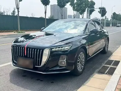 Hongqi Hongqi H5 · 2024 год