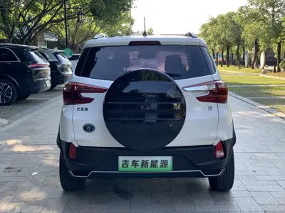 BYD Yuan EV 2019, 186000 км, за 4351.33 USD