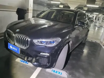 BMW X5 (Import) · 2019 год