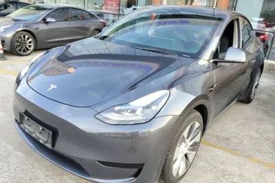Tesla Model Y · 2022 год