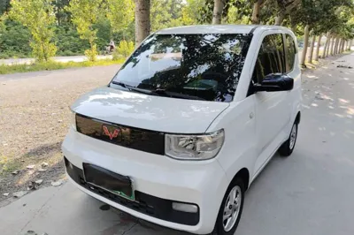 Wuling Hongguang MINIEV · 2020 год