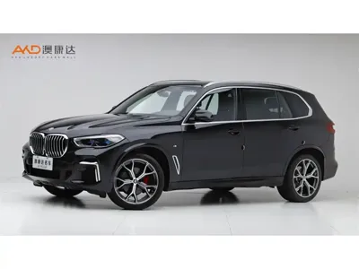 BMW X5 · 2023 год