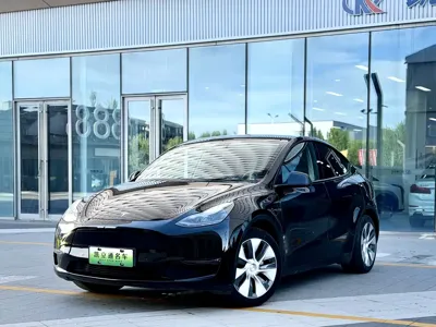 Tesla Model Y · 2021 год