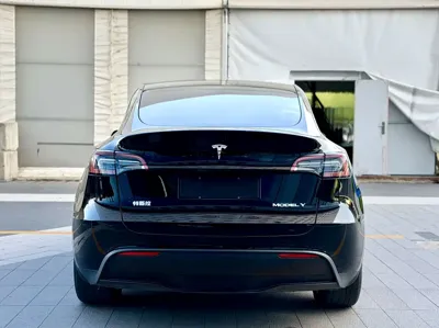 Tesla Model Y 2021, 65000 км, за 20628.77 USD - фото 6