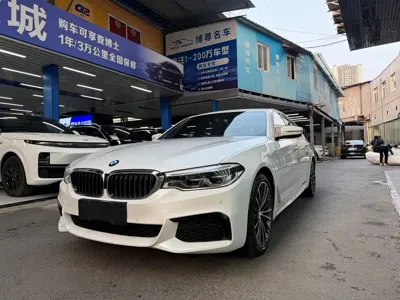 BMW 5 Series · 2020 год
