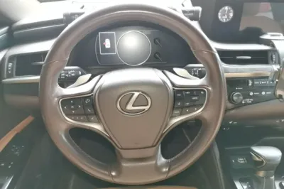Lexus ES 2018, 84400 км, за 22865 USD - фото 13