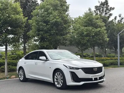 Cadillac CT5 2021, 78000 км, за 17627.67 USD