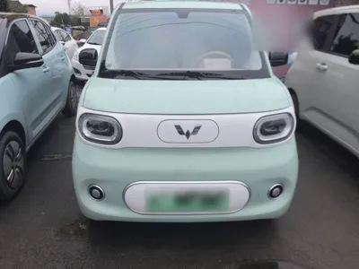 Wuling Hongguang MINIEV · 2024 год