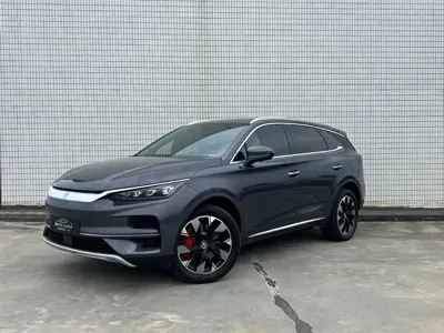 BYD Tang New Energy · 2024 год