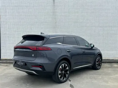 BYD Tang New Energy 2024, 46900 км, за 22807.09 USD